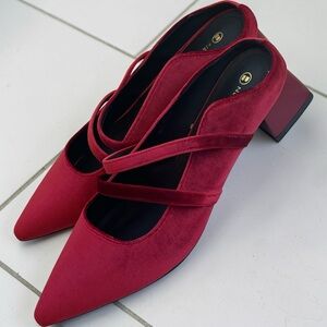 Newbella Women’s Burgundy Velvet Pointed-Toe Block Heel Mary Jane Pumps